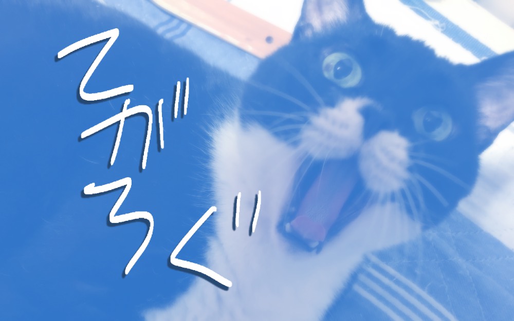 日々の少年ドロップ